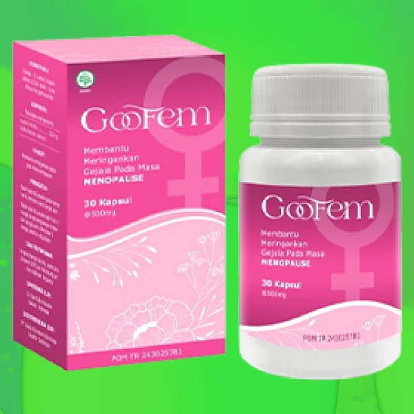 GOOFEM